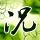 办理高仿圣保罗州立大学学位证【degxx.com】